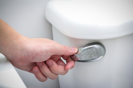 hand flushing toilet handle